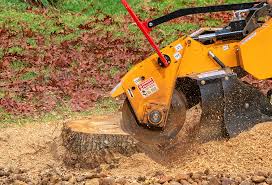 Professional Tree Removal in Amityville, NY